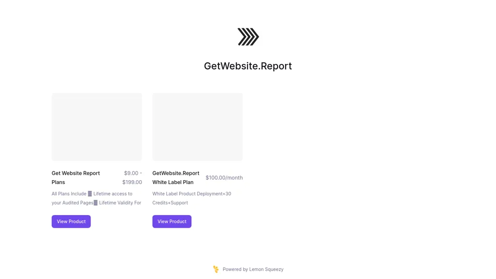 getwebsite.report hero image